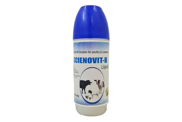 cattle supplements in india