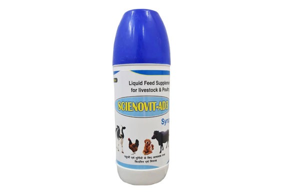 feed supplement for cattle
