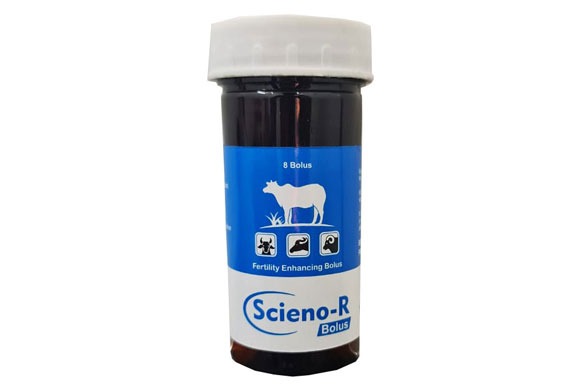 poultry feed supplement